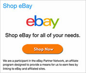 Shop Ebay.jpg