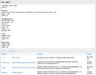 User agent 2.jpg