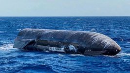 Starship стал просто ship.jpg