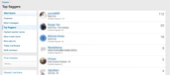 Top Flaggers 3.webp