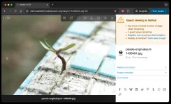 Limited Guest Viewing Pro - Boost Registrations 2.webp