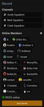 Discord Widget.webp