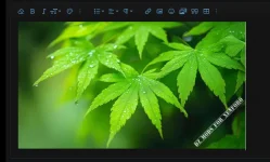 ImageShield 4.webp