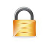 Security lock manager